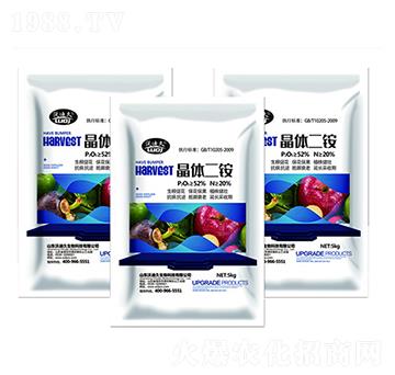 ���w���@-�ֵϾ�