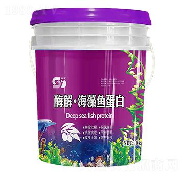 ø�⡤�����~����-���|����