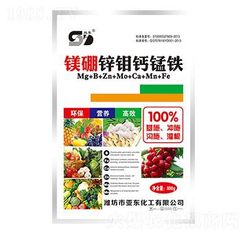 �V���\�f�}�i�F-�p�|-��?w��n)|����