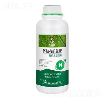 �����ЙC����-Ӣؐ��