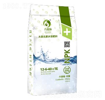 ��������Ԫ��ˮ�ܷ���12-6-40+TE-������