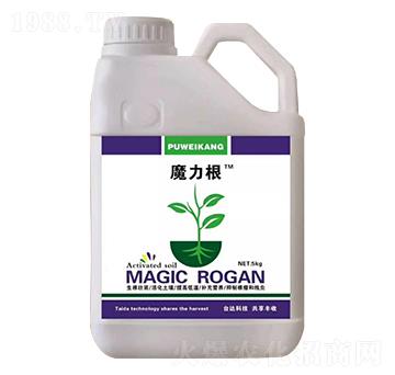 ħ����-ِ��-�_(t��i)�_(d��)�ʘI(y��)