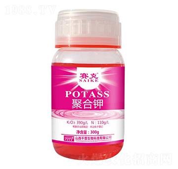 �ۺ��-ِ��-�_�_(d��)�ʘI(y��)