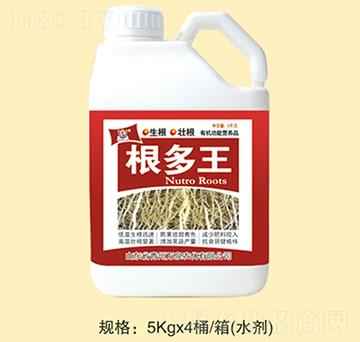 ������-�fȪ�r��