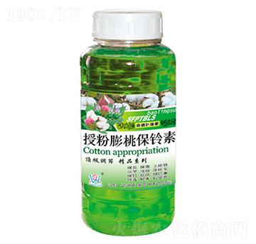 �ڷ����ұ����-�fȪ�r��