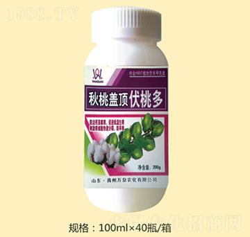 �����w픷��Ҷ�-�fȪ�r(n��ng)��