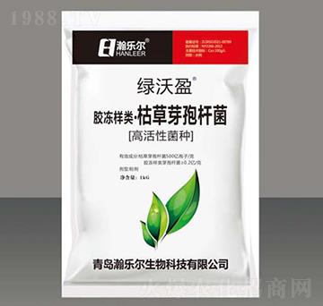 �z������ݲ�ѿ�ߗU��-�G��ӯ-嫘���