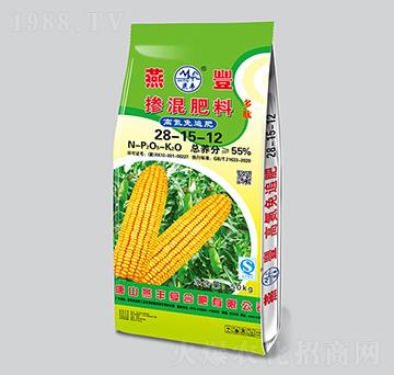 �ߵ���׷�������28-