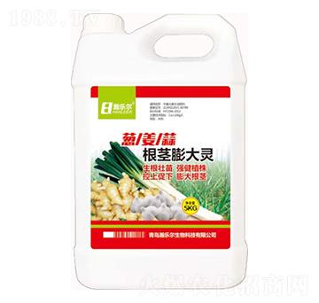 �[������o����`-嫘�(l��)��