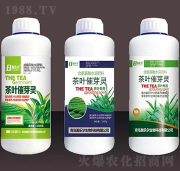 ���~��ѿ�`-嫘���