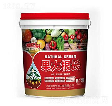 �����������L(zh��ng)-�������