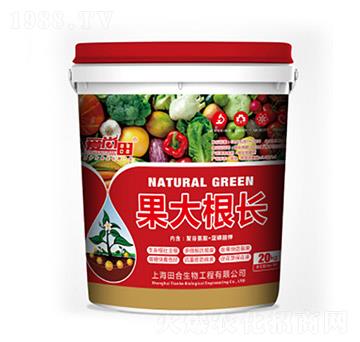 ������L-�������