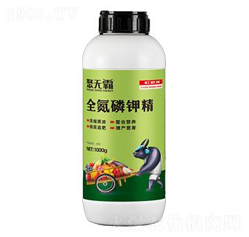 ȫ����⛾�-�۟o(w��)��