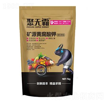 �VԴ�S�����-�۟o��