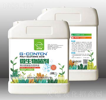 G-CONTON΢�������-��ұ�-�A����