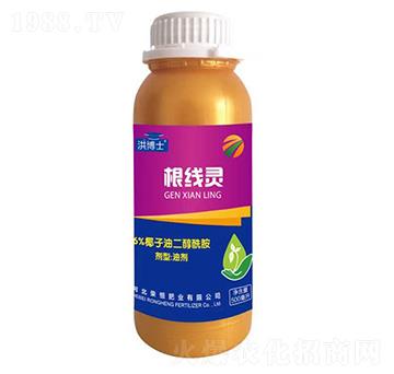 6%Ҭ���Ͷ�������-�����`-�鲩ʿ-�s��ʘI(y��)