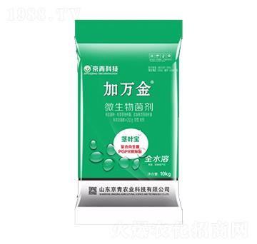 �o�~��΢�������-���f(w��n)