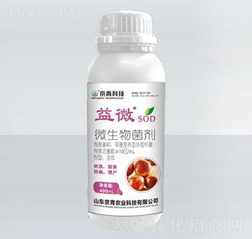 ��������΢�������-��