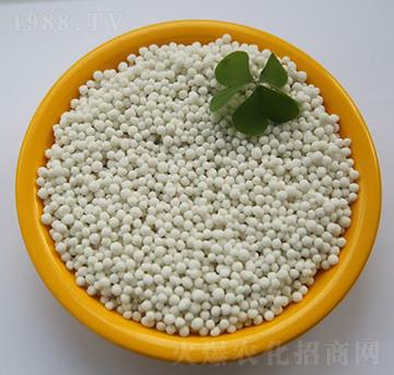 ��ʧ����-���B��