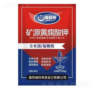 �VԴ�S�����-������