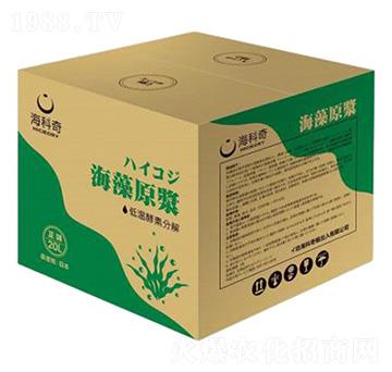 ����ԭ�{-������