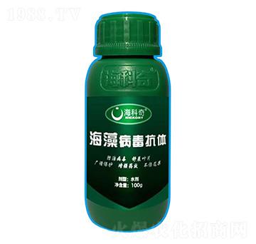 ���岡�����w-������