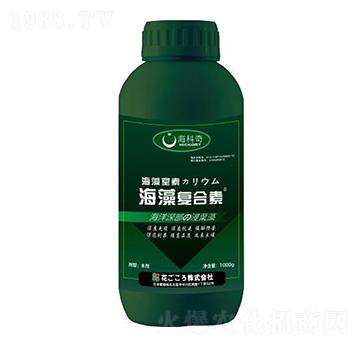 �����(f��)����-������