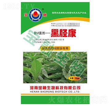 BM����-��Ä��-��������