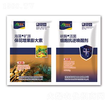 �������������-��(x��)�����憾�ф�-�n��-�n��ʘI(y��)