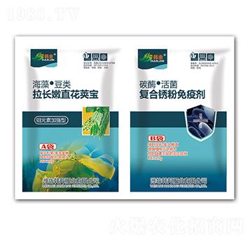 ���L��ֱ��Ӣ��+��(f��)���P�����߄�-�n��-�n��ʘI(y��)