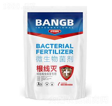 ���Y(ji��)���x(ch��ng)��������΢�������-������-���(gu��)�H