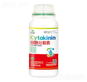 ����������-��|ֲ��-ʥ��ʘI(y��)