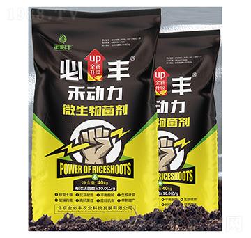 ΢�������-�̄���-����S