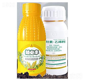 �|���؅^(q��)�������׿������a��-���װ����S-����S