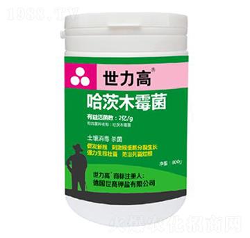 ����ľù��-����������