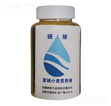 ����С���I(y��ng)�B(y��ng)Һ-���S