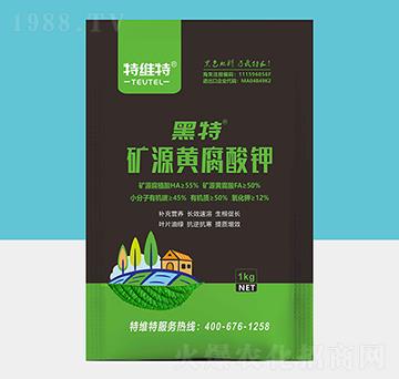 �VԴ�S�����-�ؾS��