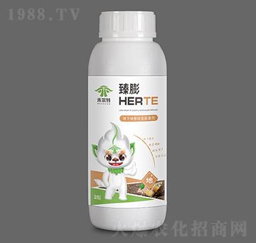 ���K���K�o�����-����-�̠���