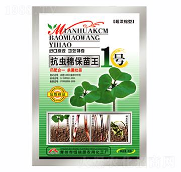 ���x�ޱ�����-������