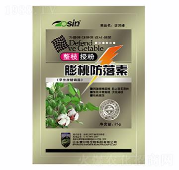 ���ҷ�����-������