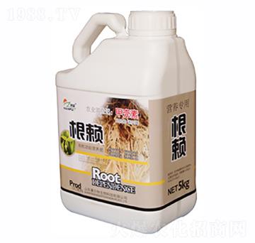 ��ه���ι��ͣ�-������