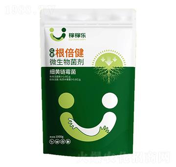 ΢�������-�|��������-�ڼژ�(l��)