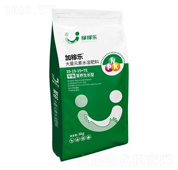 ƽ��I(y��ng)�B(y��ng)���L(zh��ng)�ʹ���Ԫ��ˮ�ܷ���19-19-19+TE-�Ӽژ�(l��)-�ڼژ�(l��)