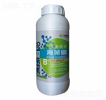 ������-�����S-�A��