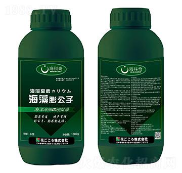 ��������-������