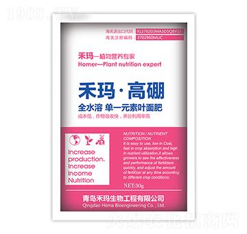 �̬�������-�̬�����