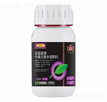 240����Ԫ��ˮ�ܷ�-�����ѹ�-�̷f����