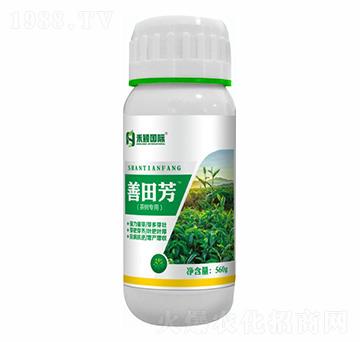 ���~�����~���-���﷼-�̷f����