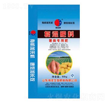 ����Ï�(f��)�����-��ʥ����