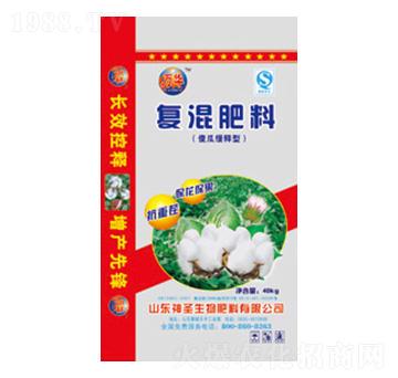 ����͏ͻ����-��ʥ����